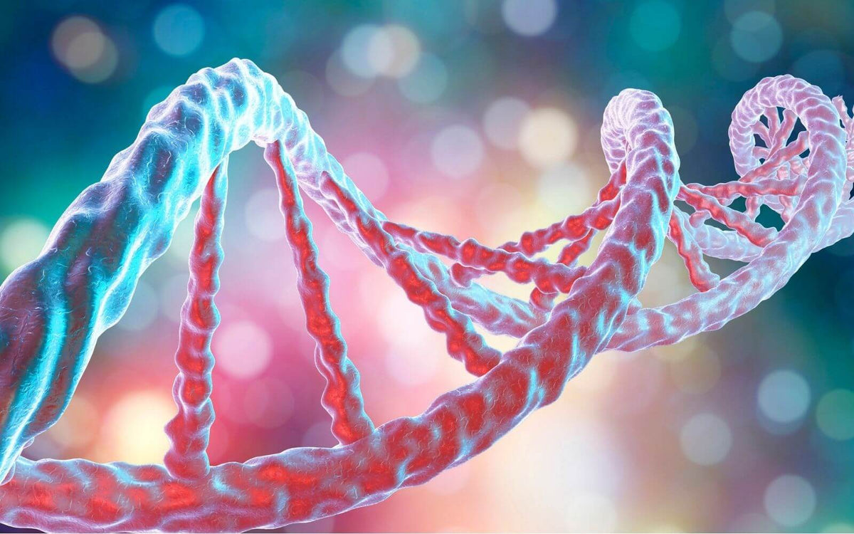 Is Autism Genetic? | Gene For Autism
