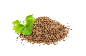 Caraway Seed Extract