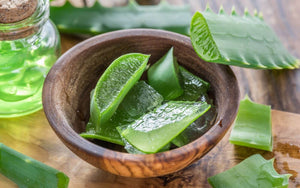 Benefits of Aloe Vera