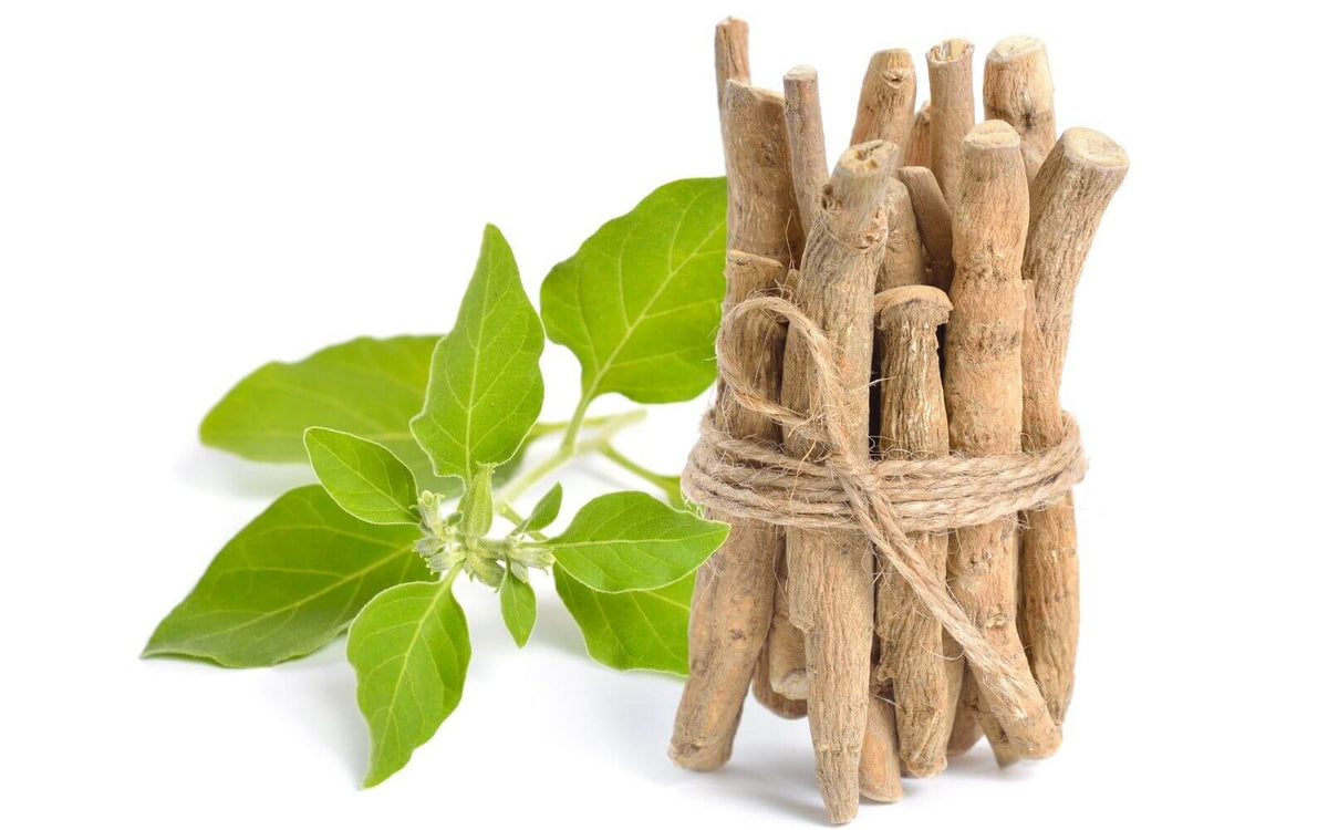 Ashwagandha Hair Loss | Ashwagandha Hair Growth