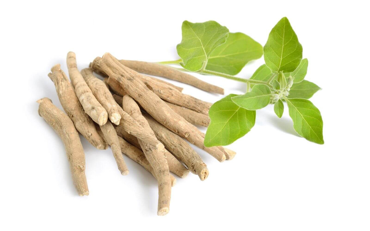 Ashwagandha For Sleep