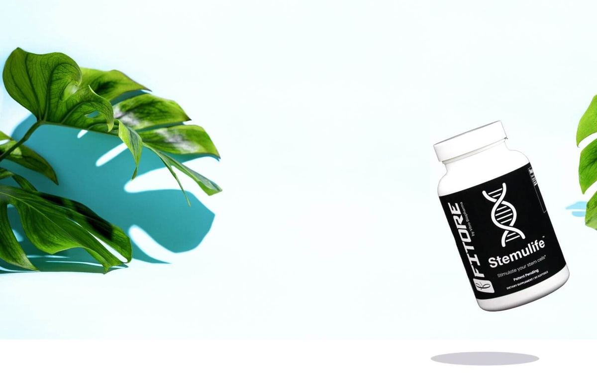 Stem Cell Supplements and Stem Cells