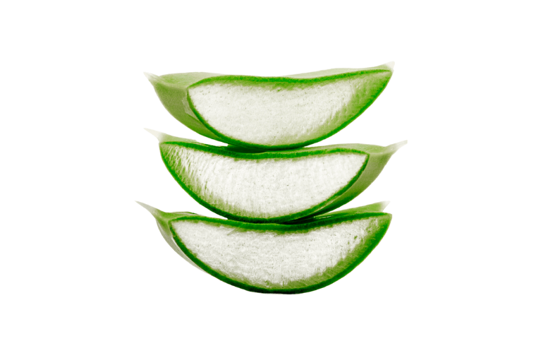 Aloe Vera Gel Extract