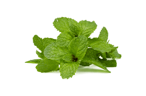Peppermint Leaf Extract